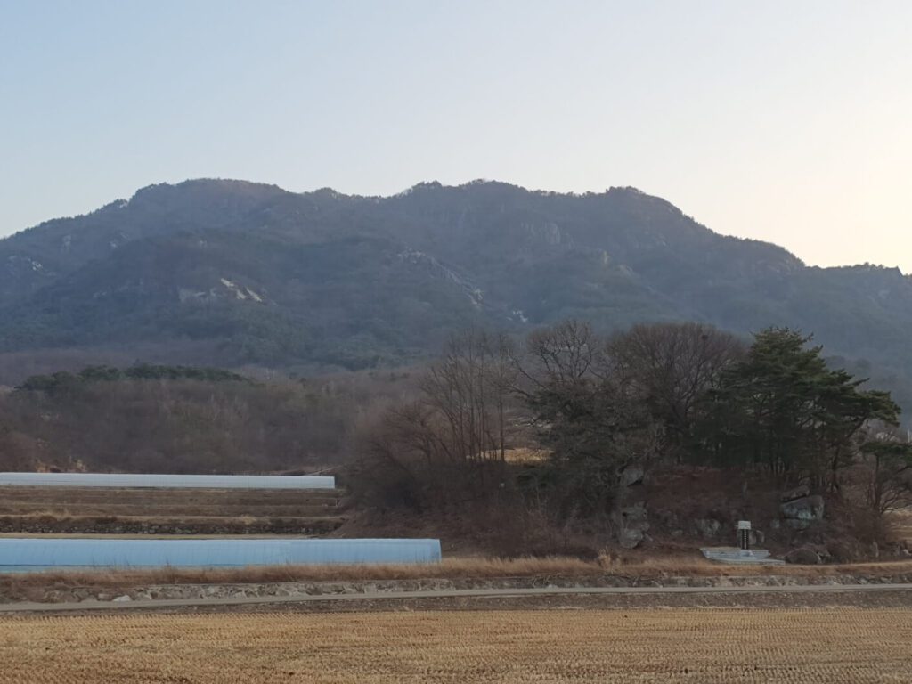 한국의 대표적인 종중 재산인 낮은 산의 모습입니다.