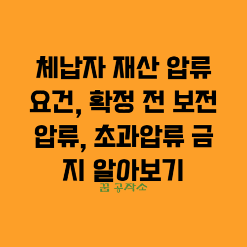 체납자 재산압류 요건, 확정전 보전압류,초과압류금지,국세징수법